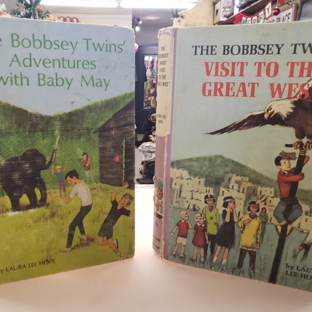 ❤ The Bobbsey Twins ~ PAIR HARDCOVER BOOKS 1966 & 1968 SOLD as is!!!!